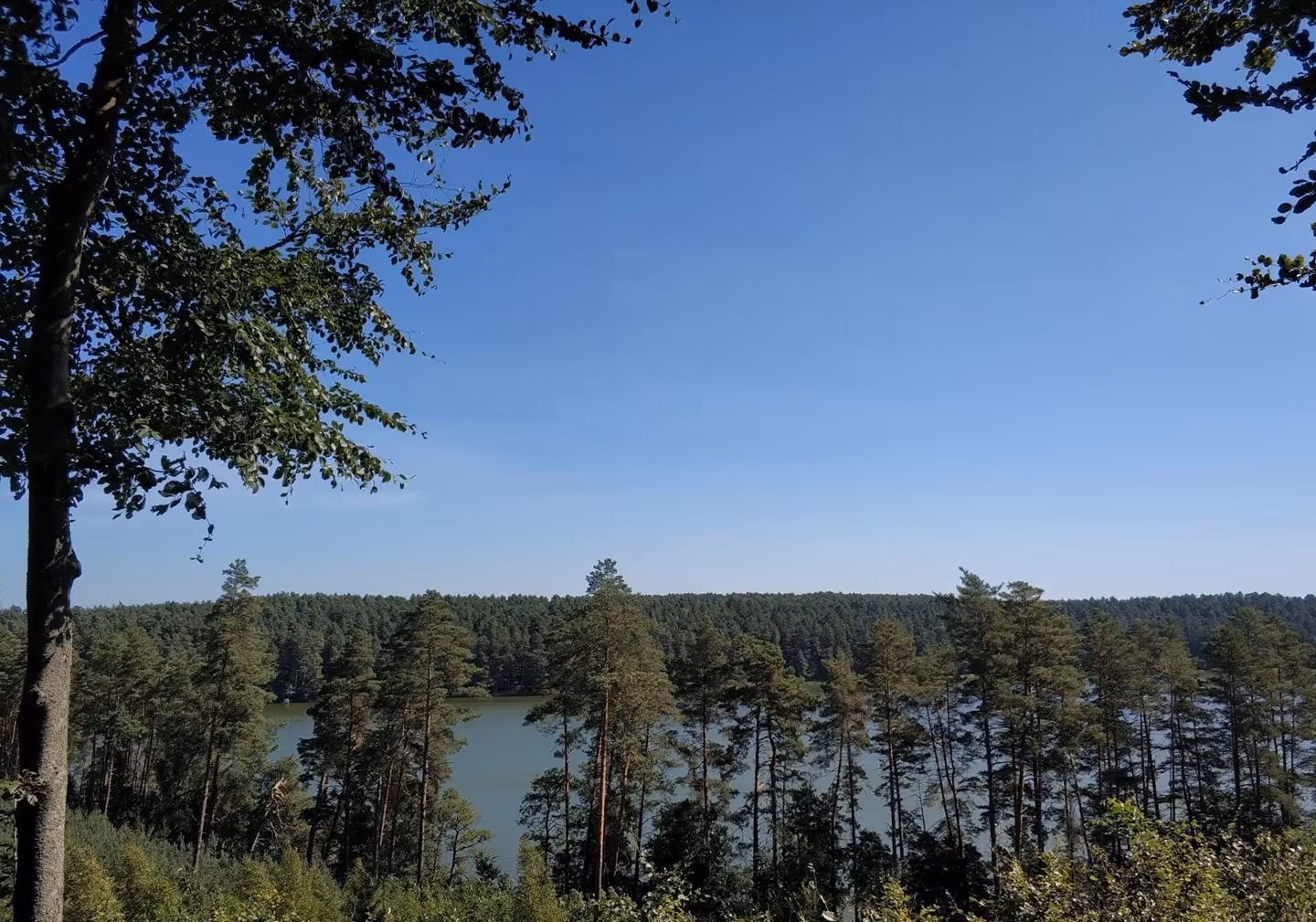 Outdoor venue seating